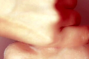 japanese babe blows cock till cum uncensored 💦😍