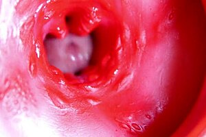 Big Red Cock Pounds Juicy Pussy Close To Explosive Cumshot