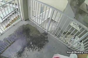 😏 spicy latina teen flashes pussy in mall lot for fun 💦